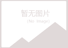 永清县山柳化学有限公司